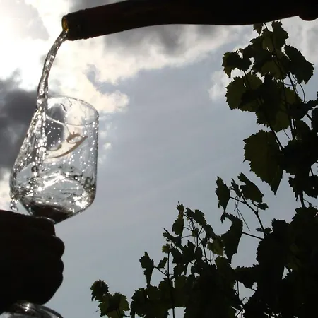 Apartament Weingut Michael Gruenewald Soehne Bingen am Rhein